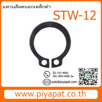 STW-12-1