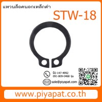 STW-18-1